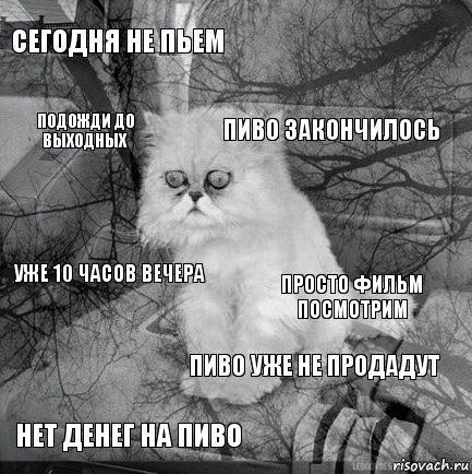 сегодня не пьем просто фильм посмотрим пиво закончилось нет денег на пиво уже 10 часов вечера  пиво уже не продадут подожди до выходных  , Комикс  кот безысходность