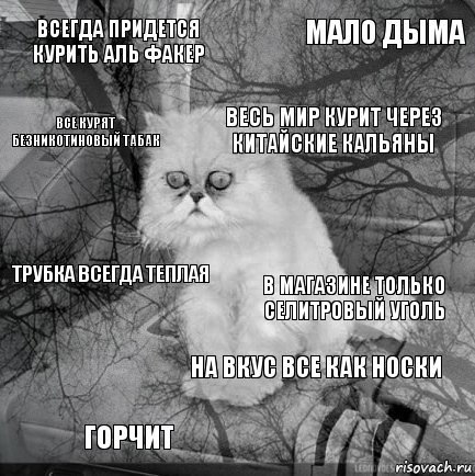 всегда придется курить аль факер в магазине только селитровый уголь весь мир курит через китайские кальяны горчит трубка всегда теплая мало дыма на вкус все как носки все курят безникотиновый табак  , Комикс  кот безысходность