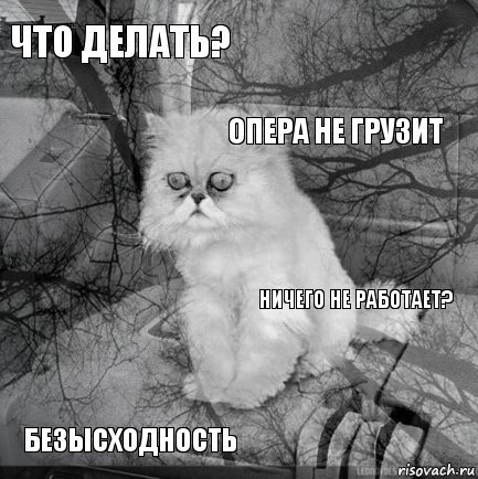 Что делать? Ничего не работает? опера не грузит Безысходность      , Комикс  кот безысходность