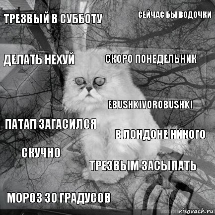 трезвый в субботу в лондоне никого скоро понедельник мороз 30 градусов Патап загасился сейчас бы водочки трезвым засыпать делать нехуй скучно ebushkivorobushki, Комикс  кот безысходность