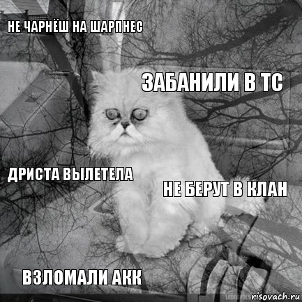 Не чарнёш на шарпнес не берут в клан забанили в тс взломали акк дриста вылетела     , Комикс  кот безысходность