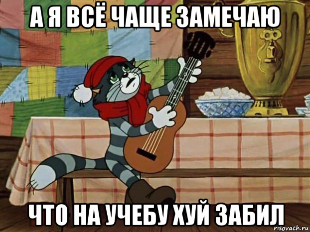 а я всё чаще замечаю что на учебу хуй забил, Мем Кот Матроскин с гитарой