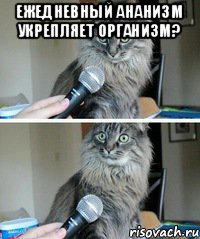 Ежедневный ананизм укрепляет организм? 