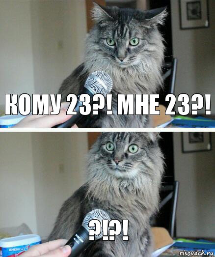 Кому 23?! Мне 23?! ?!?!, Комикс  кот с микрофоном