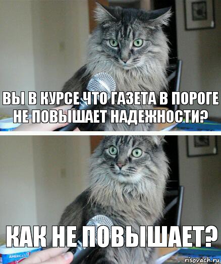 вы в курсе что газета в пороге не повышает надежности? как не повышает?, Комикс  кот с микрофоном