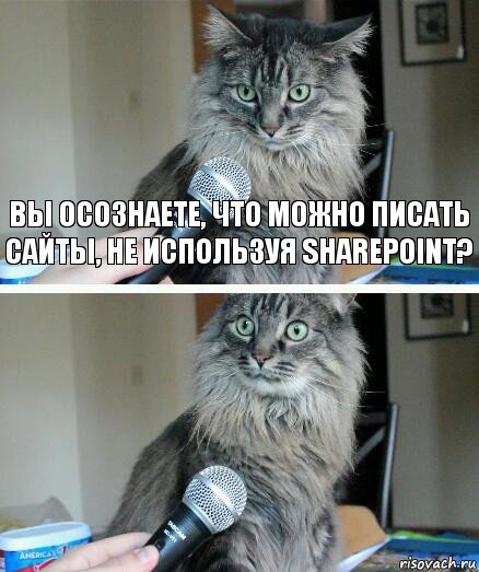 Вы осознаете, что можно писать сайты, не используя SharePoint? , Комикс  кот с микрофоном