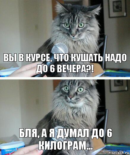 ВЫ В КУРСЕ, ЧТО КУШАТЬ НАДО ДО 6 ВЕЧЕРА?! БЛЯ, А Я ДУМАЛ ДО 6 КИЛОГРАМ..., Комикс  кот с микрофоном