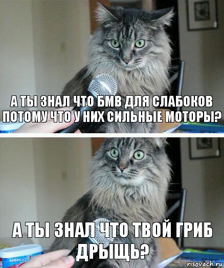 а ты знал что бмв для слабоков потому что у них сильные моторы? а ты знал что твой Гриб дрыщь?, Комикс  кот с микрофоном