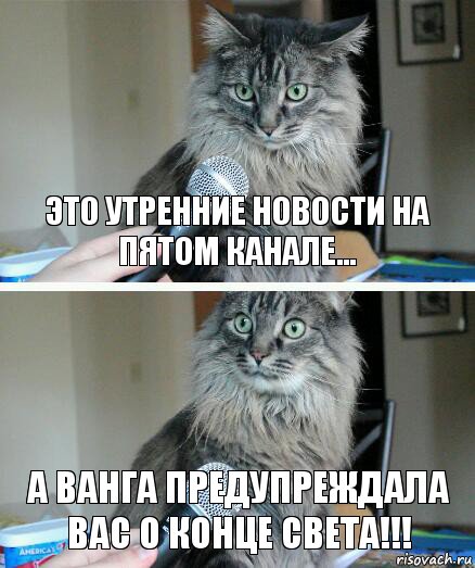 ЭТО УТРЕННИЕ НОВОСТИ НА ПЯТОМ КАНАЛЕ... А ВАНГА ПРЕДУПРЕЖДАЛА ВАС О КОНЦЕ СВЕТА!!!, Комикс  кот с микрофоном