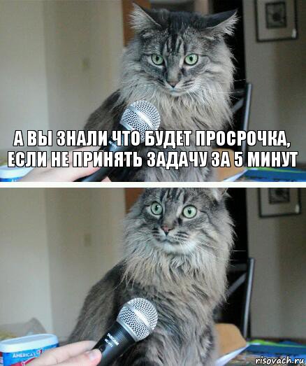 а вы знали что будет просрочка, если не принять задачу за 5 минут , Комикс  кот с микрофоном