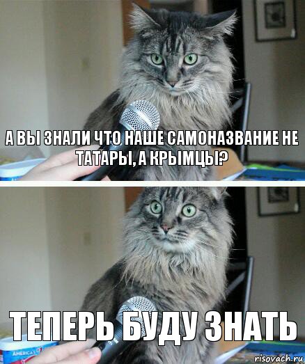 А вы знали что наше самоназвание не татары, а крымцы? теперь буду знать, Комикс  кот с микрофоном