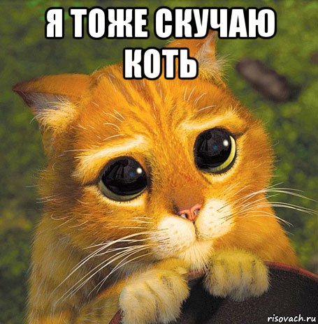 я тоже скучаю коть 