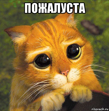 пожалуста 