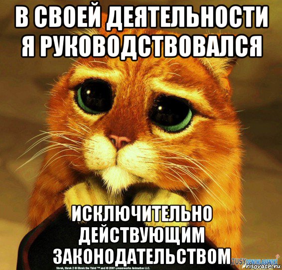 в своей деятельности я руководствовался исключительно действующим законодательством, Мем Котик из Шрека