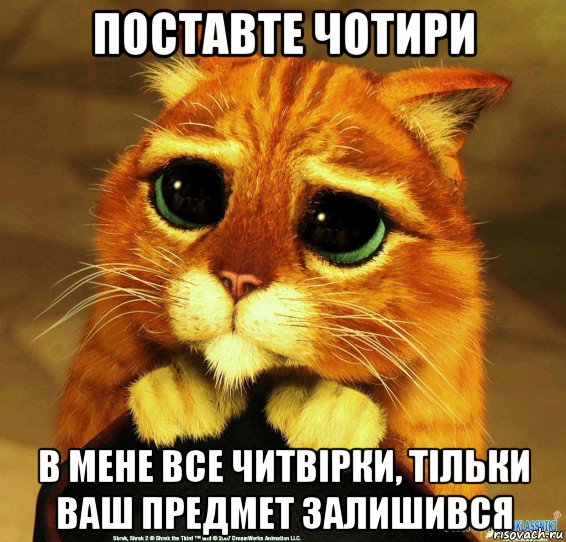 поставте чотири в мене все читвірки, тільки ваш предмет залишився, Мем Котик из Шрека