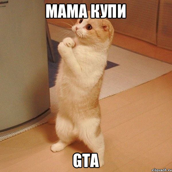 мама купи GTA, Мем  котэ молится