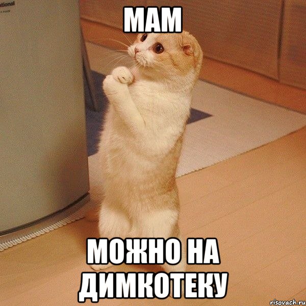 мам можно на димкотеку, Мем  котэ молится