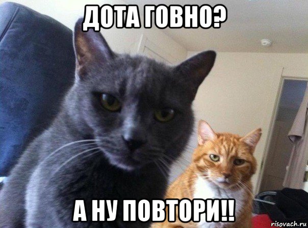 дота говно? а ну повтори!!, Мем  Два котэ