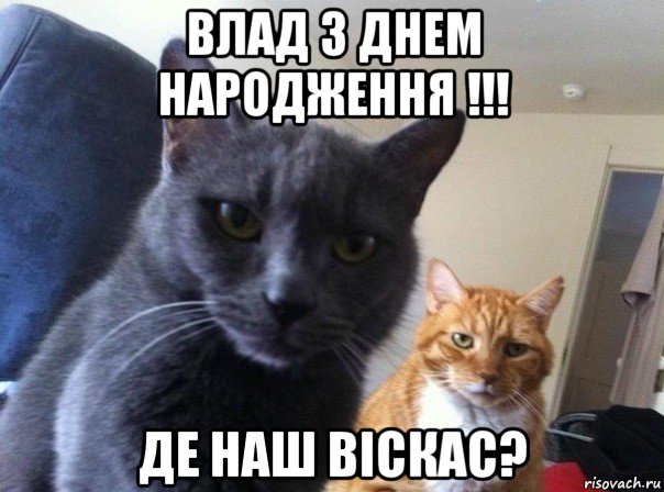 влад з днем народження !!! де наш віскас?, Мем  Два котэ