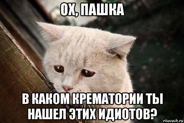 ох, пашка в каком крематории ты нашел этих идиотов?
