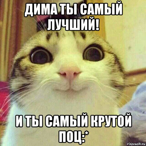 дима ты самый лучший! и ты самый крутой поц:*, Мем       Котяка-улыбака