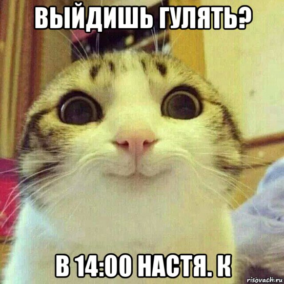 выйдишь гулять? в 14:00 настя. к, Мем       Котяка-улыбака