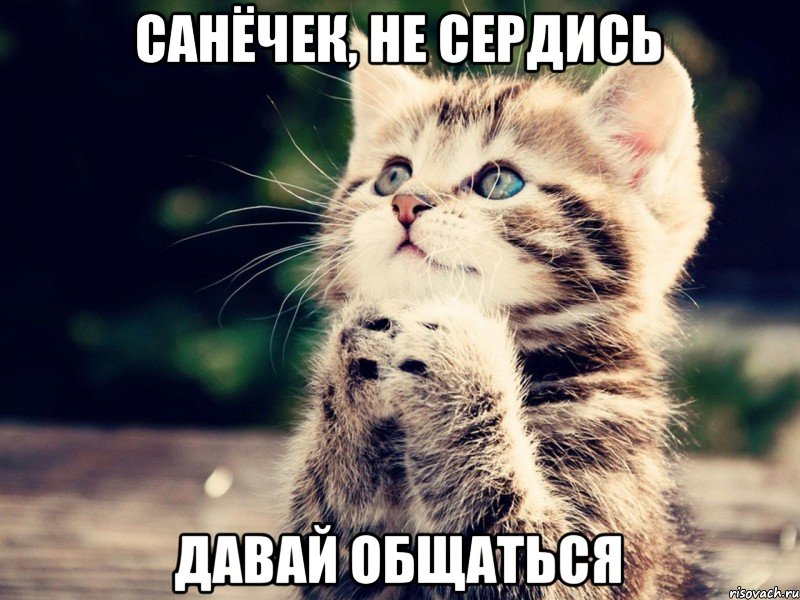 Санёчек, не сердись давай общаться