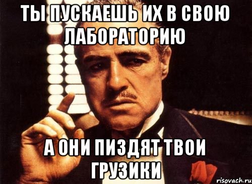 Ты пускаешь их в свою лабораторию А они пиздят твои грузики, Мем крестный отец