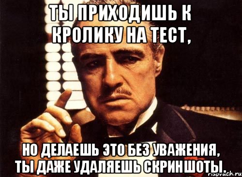 Ты приходишь к Кролику на тест, но делаешь это без уважения, ты даже удаляешь скриншоты., Мем крестный отец