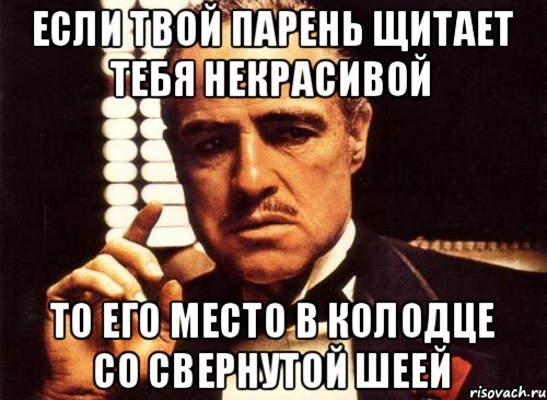 если твой парень щитает тебя некрасивой то его место в колодце со свернутой шеей, Мем крестный отец