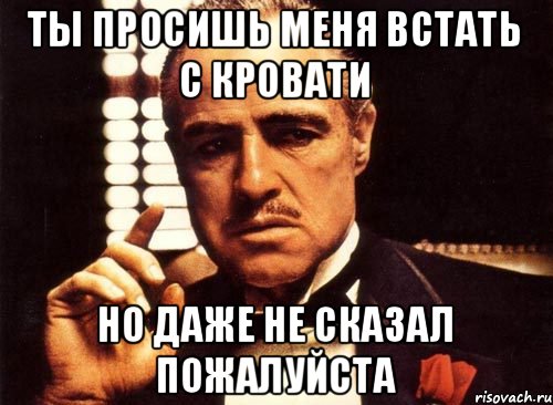 ТЫ ПРОСИШЬ МЕНЯ ВСТАТЬ С КРОВАТИ НО ДАЖЕ НЕ СКАЗАЛ ПОЖАЛУЙСТА, Мем крестный отец