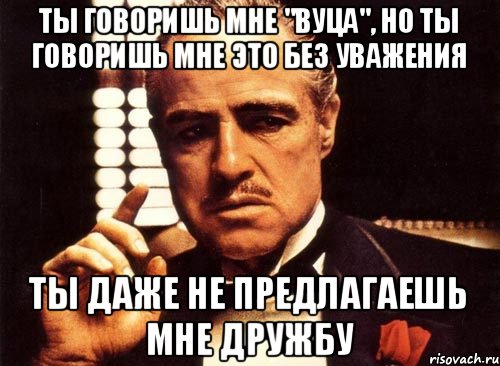 Ты говоришь мне "вуца", но ты говоришь мне это без уважения Ты даже не предлагаешь мне дружбу, Мем крестный отец