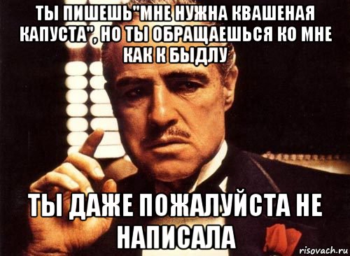 Ты пишешь"мне нужна квашеная капуста", но ты обращаешься ко мне как к быдлу Ты даже пожалуйста не написала, Мем крестный отец