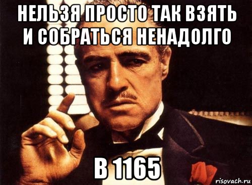 нельзя просто так взять и собраться ненадолго в 1165, Мем крестный отец