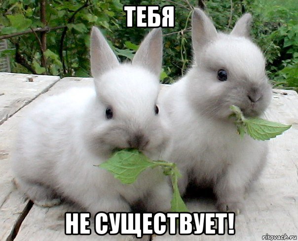 тебя не существует!