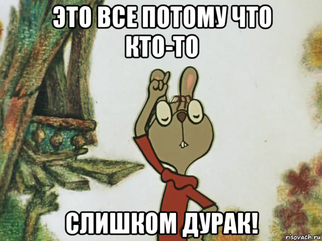 это все потому что кто-то слишком дурак!