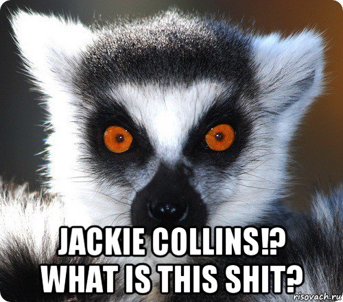  jackie collins!? what is this shit?, Мем лемур