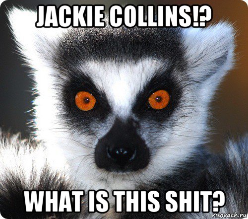 jackie collins!? what is this shit?, Мем лемур