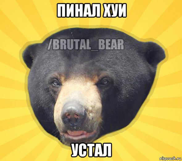 пинал хуи устал