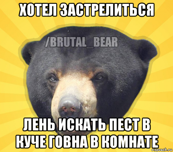 хотел застрелиться лень искать пест в куче говна в комнате