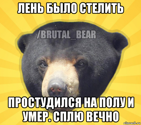 лень было стелить простудился на полу и умер. сплю вечно