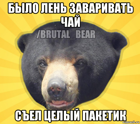 было лень заваривать чай съел целый пакетик