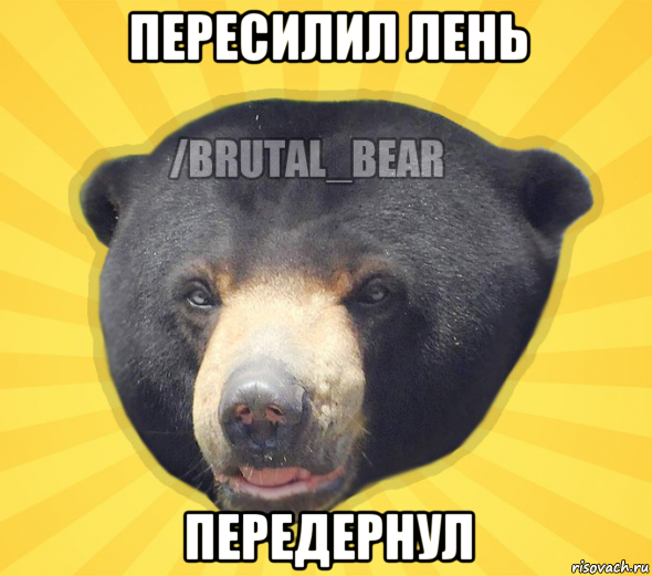 пересилил лень передернул