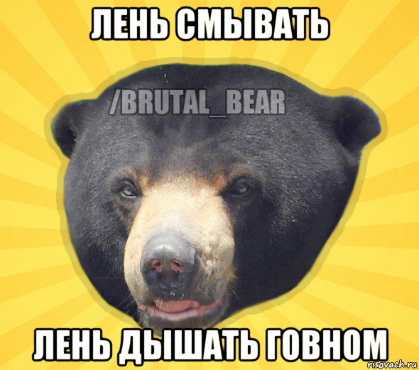 лень смывать лень дышать говном