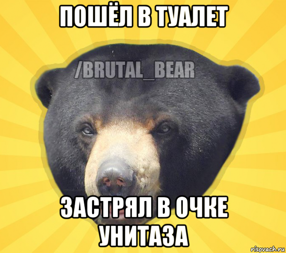 пошёл в туалет застрял в очке унитаза