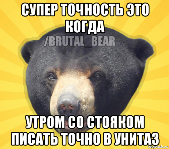 супер точность это когда утром со стояком писать точно в унитаз