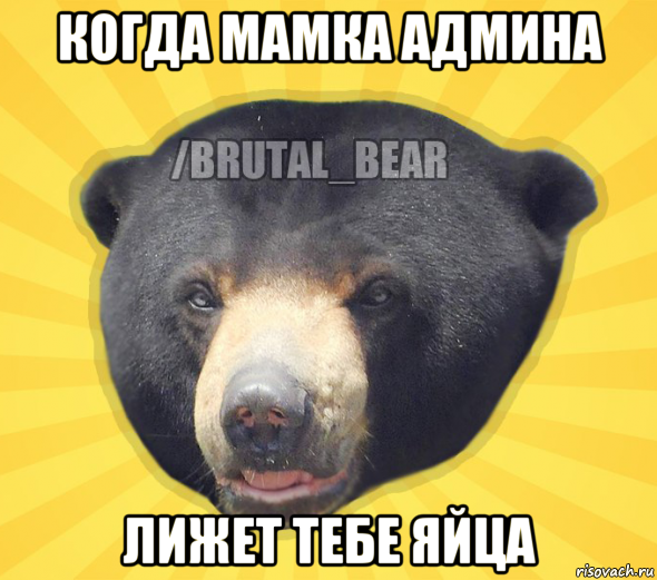 когда мамка админа лижет тебе яйца