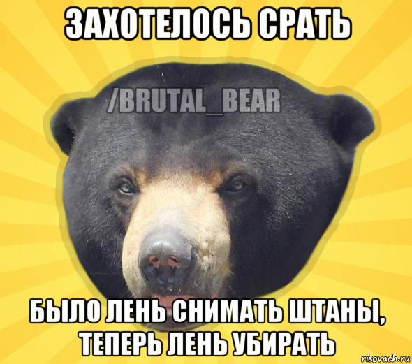 захотелось срать было лень снимать штаны, теперь лень убирать