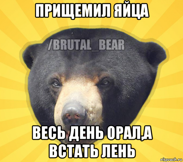 прищемил яйца весь день орал,а встать лень