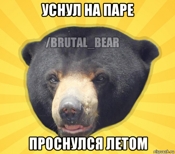 уснул на паре проснулся летом
